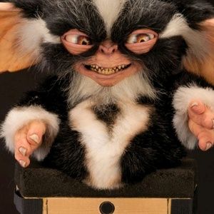 Meet your Posher, Jay